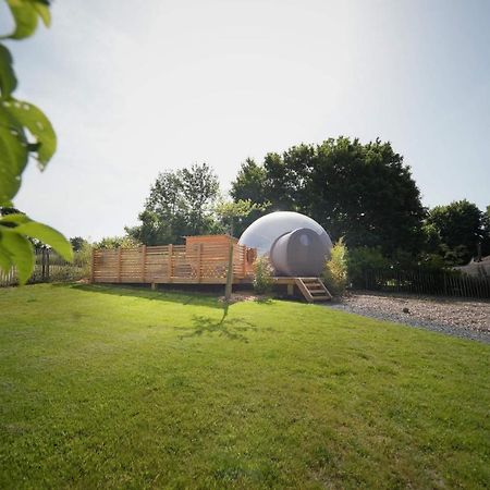 Bulles Odette & Ginette Et Tiny House Suzette "Au Guet Marais" Etape Insolite Paliseul Экстерьер фото