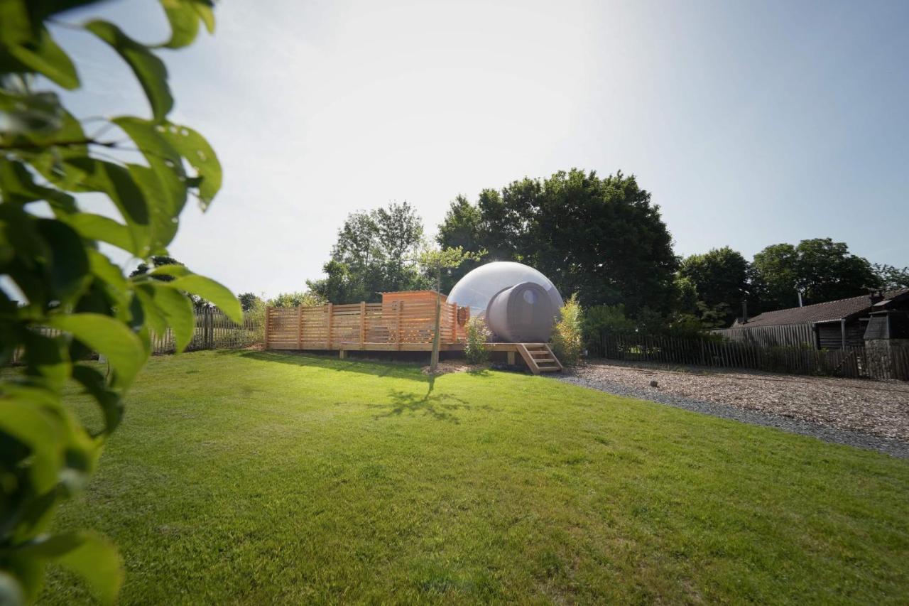 Bulles Odette & Ginette Et Tiny House Suzette "Au Guet Marais" Etape Insolite Paliseul Экстерьер фото