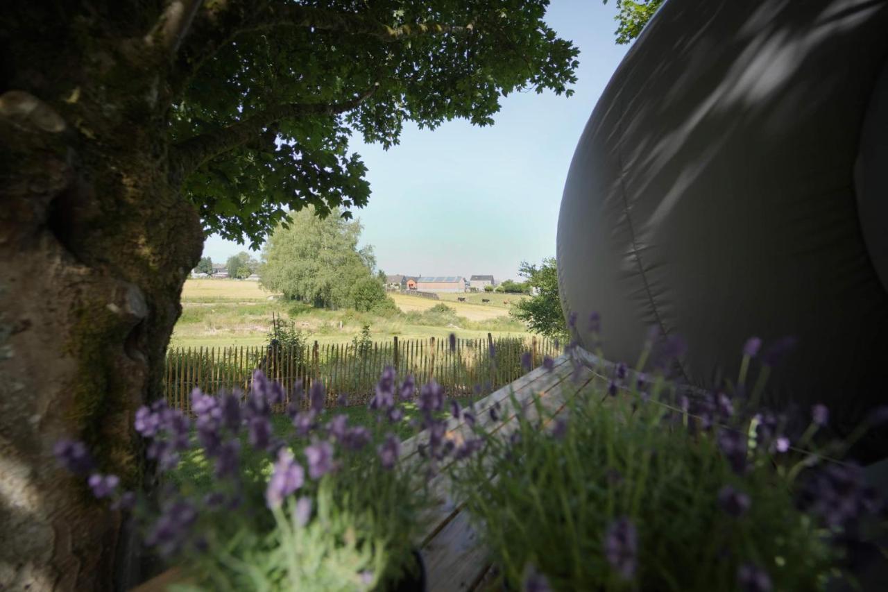 Bulles Odette & Ginette Et Tiny House Suzette "Au Guet Marais" Etape Insolite Paliseul Экстерьер фото